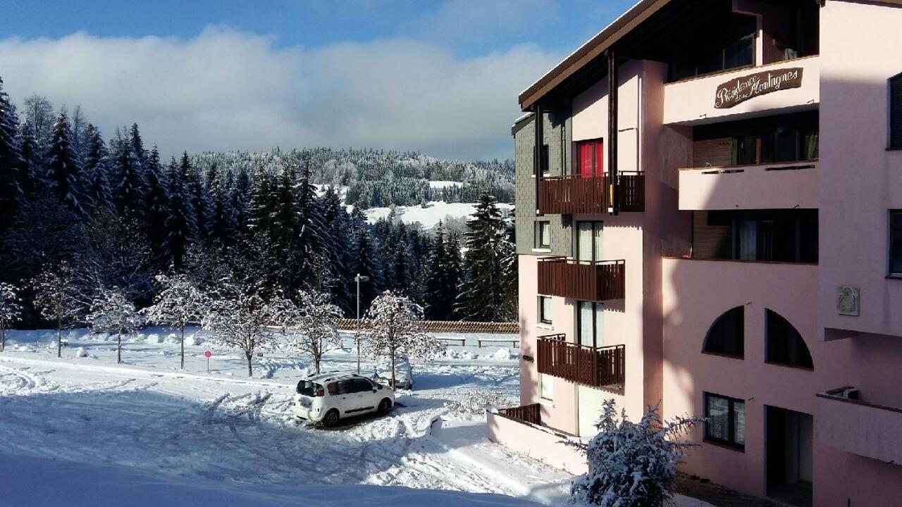 Appartement dernier étage au pied des pistes HIRMENTAZ Bellevaux Extérieur photo